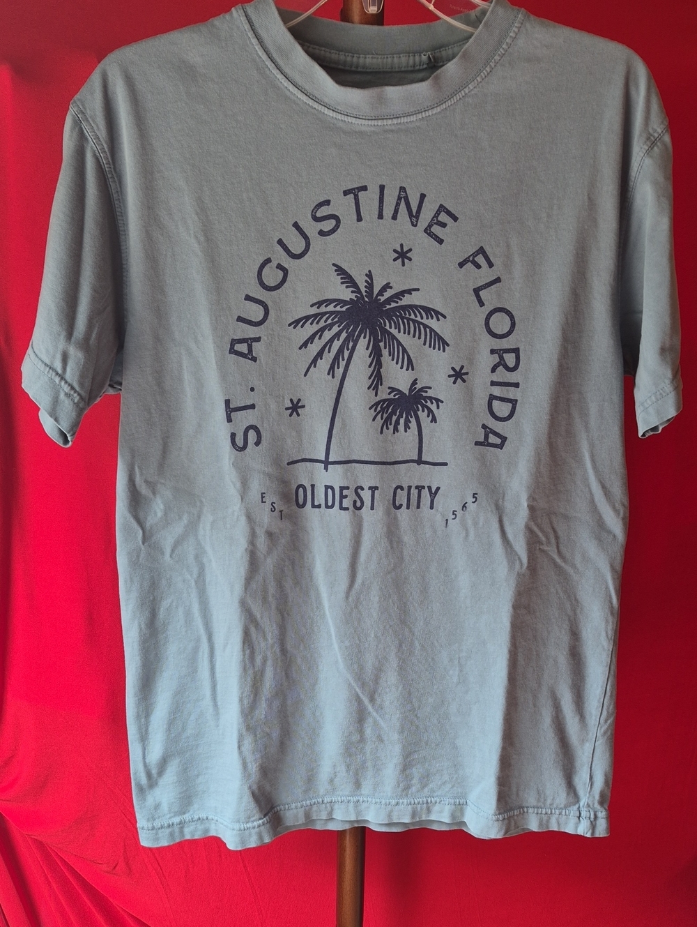St. Augustine Florida Palm Graphic T-Shirt - Light Blue Size M